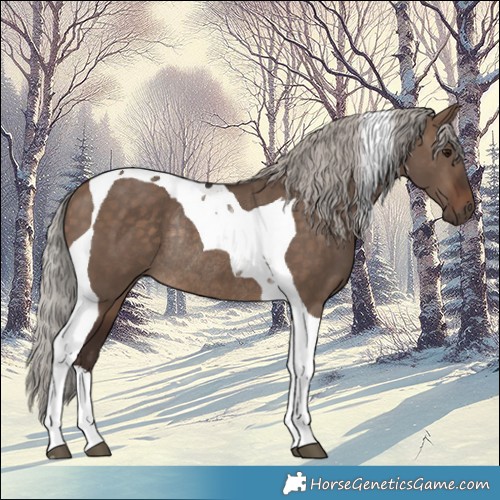 Horse Color:Silver Brown Dun Tobiano Rabicano