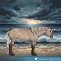 Horse Color:Silver Brown Dun 