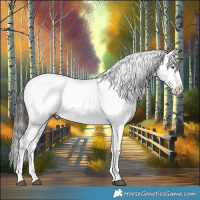 Horse Color:Liver Red Dun Frame Rabicano