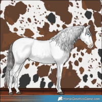 Horse Color:Liver Red Dun Frame Rabicano 
