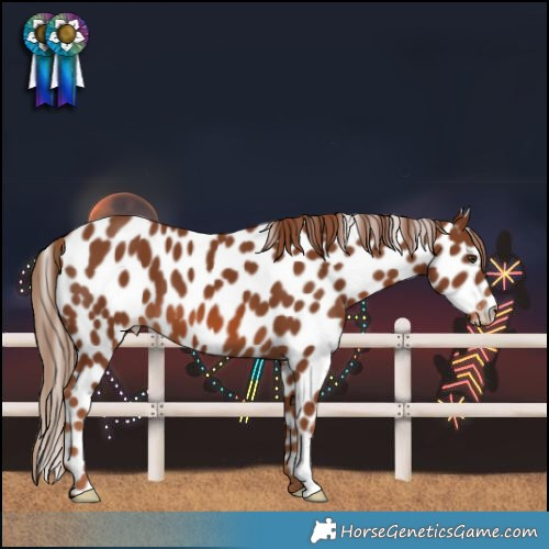 Horse Color:Chestnut Leopard 