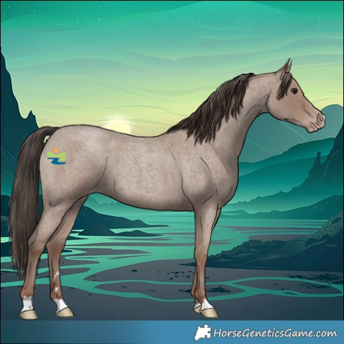 Horse Color:Classic Champagne Roan 