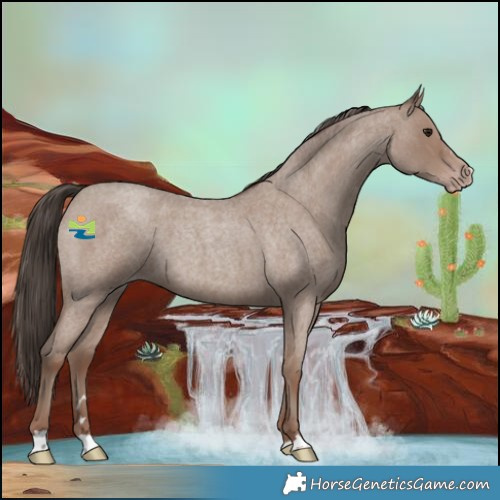 Horse Color:Classic Champagne Roan 