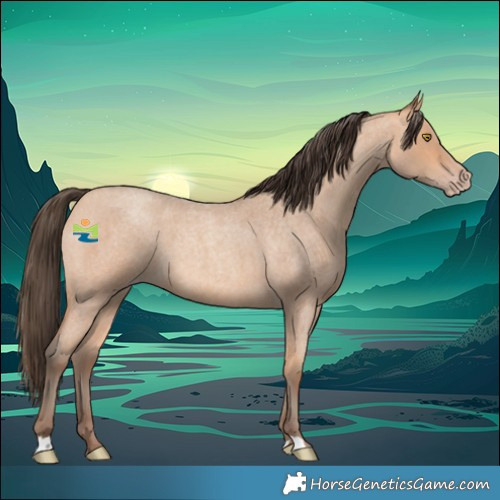 Horse Color:Amber Champagne Roan 
