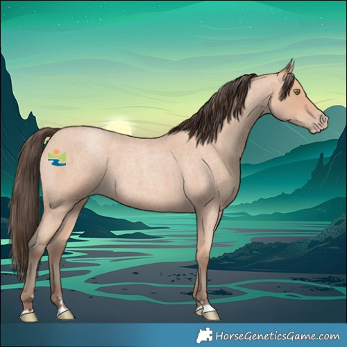 Horse Color:Amber Champagne Roan 