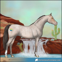 Horse Color:Amber Champagne Roan