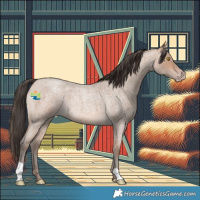 Horse Color:Amber Champagne Roan