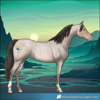 Horse Color:Amber Champagne Roan 