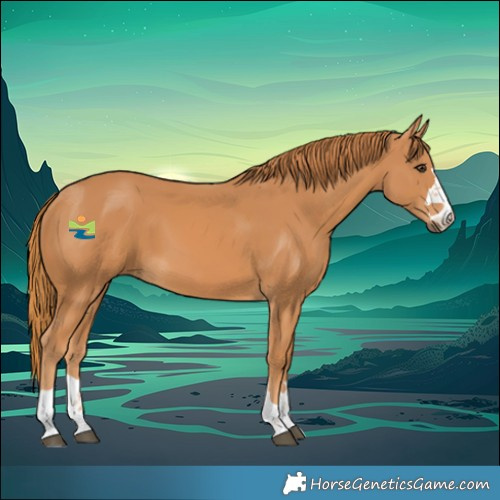 Horse Color:Chestnut 