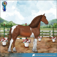 Horse Color:Chestnut Tobiano