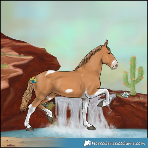 Horse Color:Chestnut Tobiano Frame 