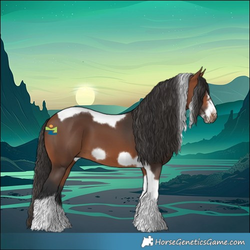 Horse Color:Bay Tobiano Frame 