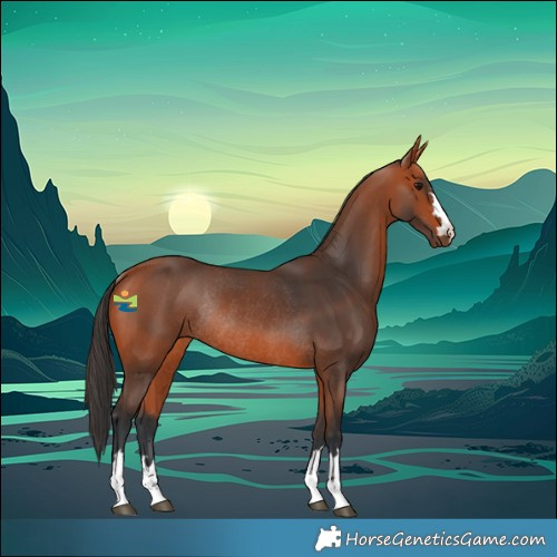 Horse Color:Bay Rabicano 