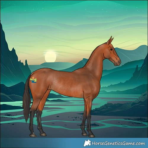 Horse Color:Bay Rabicano