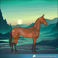 Horse Color:Bay Rabicano