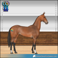Horse Color:Bay Rabicano