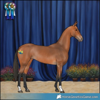 Horse Color:Bay Rabicano