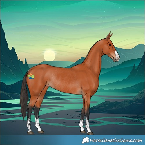 Horse Color:Bay Rabicano 