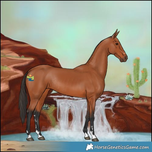 Horse Color:Bay Rabicano