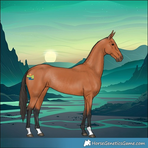 Horse Color:Bay Rabicano 