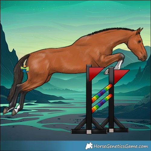 Horse Color:Bay 
