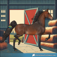 Horse Color:Bay 