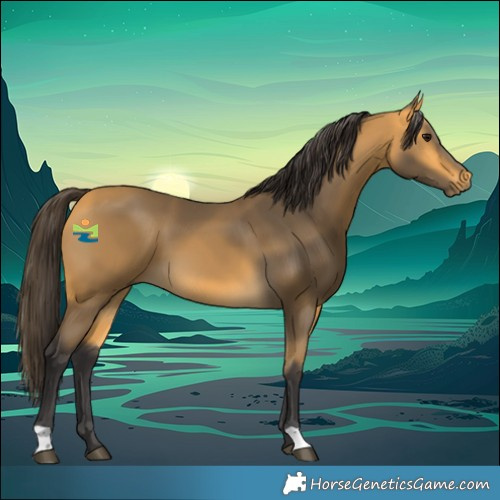 Horse Color:Buckskin 