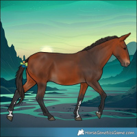 Horse Color:Bay 