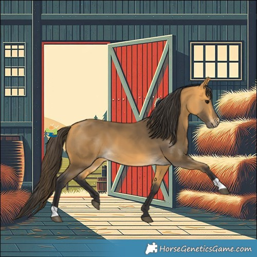 Horse Color:Buckskin