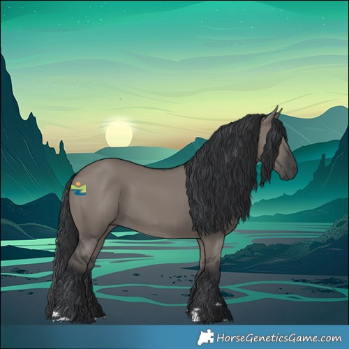 Horse Color:Grullo 