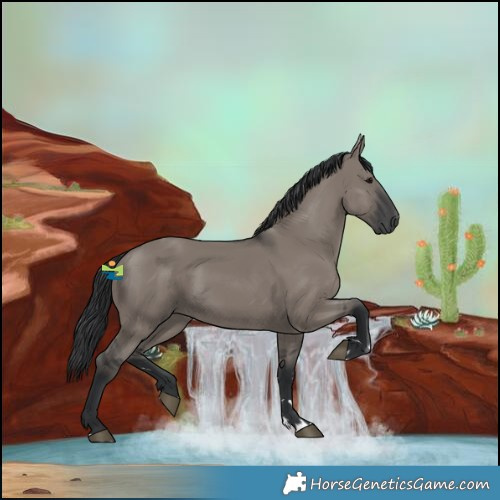 Horse Color:Grullo