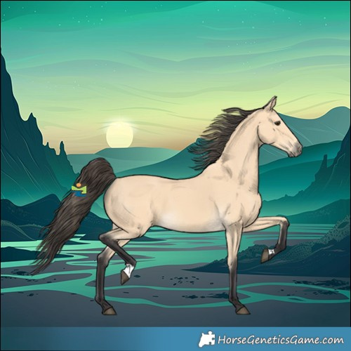 Horse Color:Buckskin 