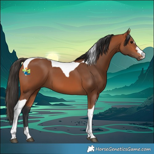 Horse Color:Bay Tobiano 