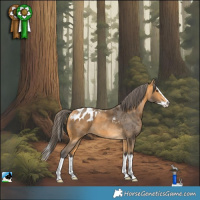 Horse Color:Buckskin Merle Splash Skewed LP Spotted 
