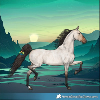 Horse Color:Bay Roan Dun 