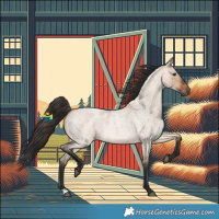 Horse Color:Bay Roan Dun
