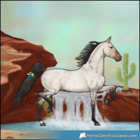 Horse Color:Bay Roan Dun 