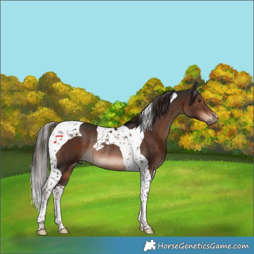 Horse Color:Liver Chestnut Tobiano Rabicano
