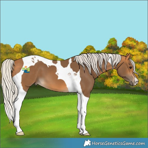 Horse Color:Silver Buckskin Tobiano