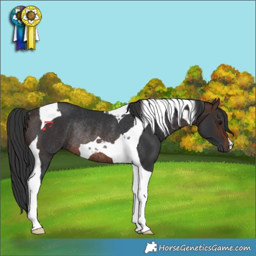 Horse Color:Brown Tobiano Rabicano