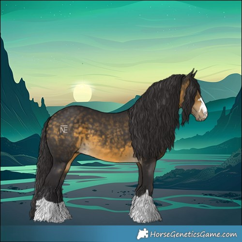 Horse Color:Buckskin 
