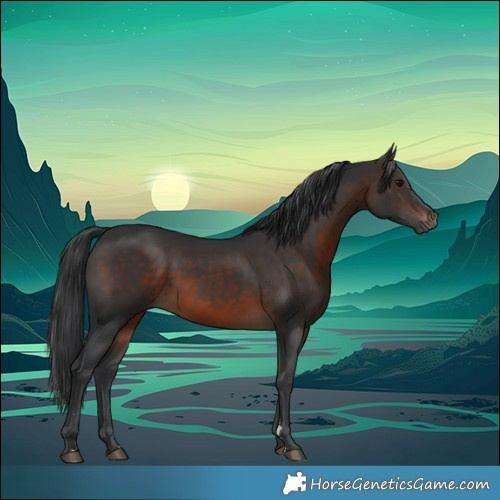 Horse Color:Brown