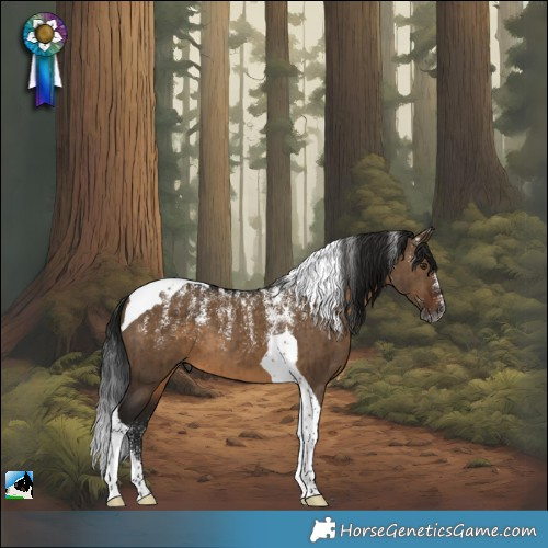 Horse Color:Powder White Gray Brown Dun Tobiano Brindle 