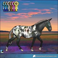 Horse Color:Gray Silver Brown Near Leopard 