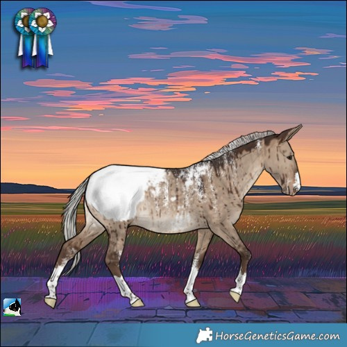 Horse Color:Powder White Silver Bay Dun Appaloosa Rabicano Brindle 