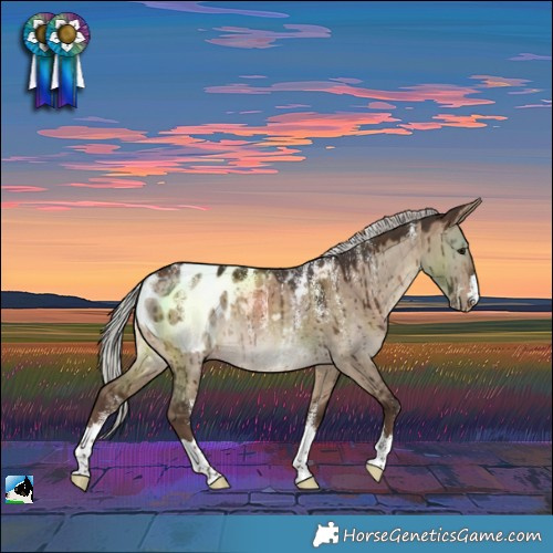 Horse Color:Powder White Silver Bay Dun Near Leopard Rabicano Brindle 