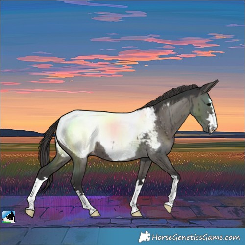 Horse Color:Smoky Grullo Near Fewspot Brindle