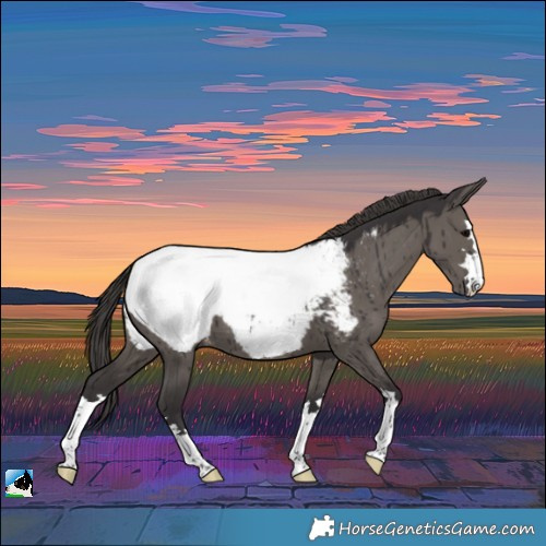 Horse Color:Smoky Grullo Near Fewspot Brindle 