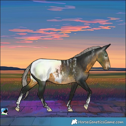 Horse Color:Powder White Gray Silver Buckskin Near Fewspot 