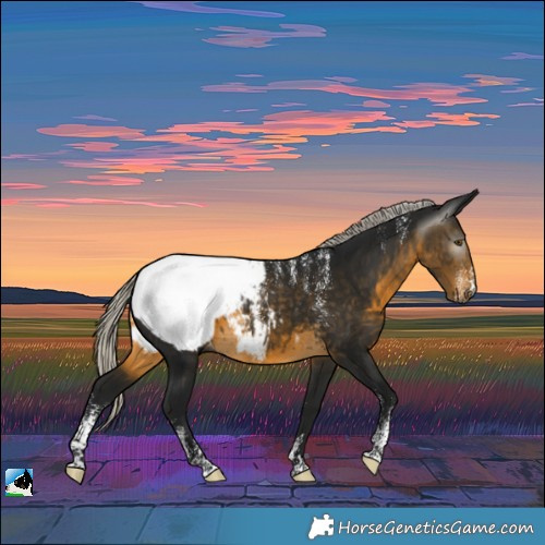 Horse Color:Powder White Gray Silver Buckskin Near Fewspot